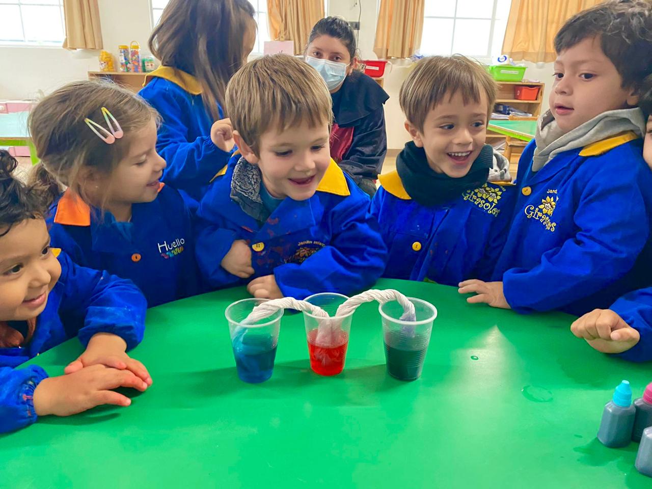 Experimento capilaridad