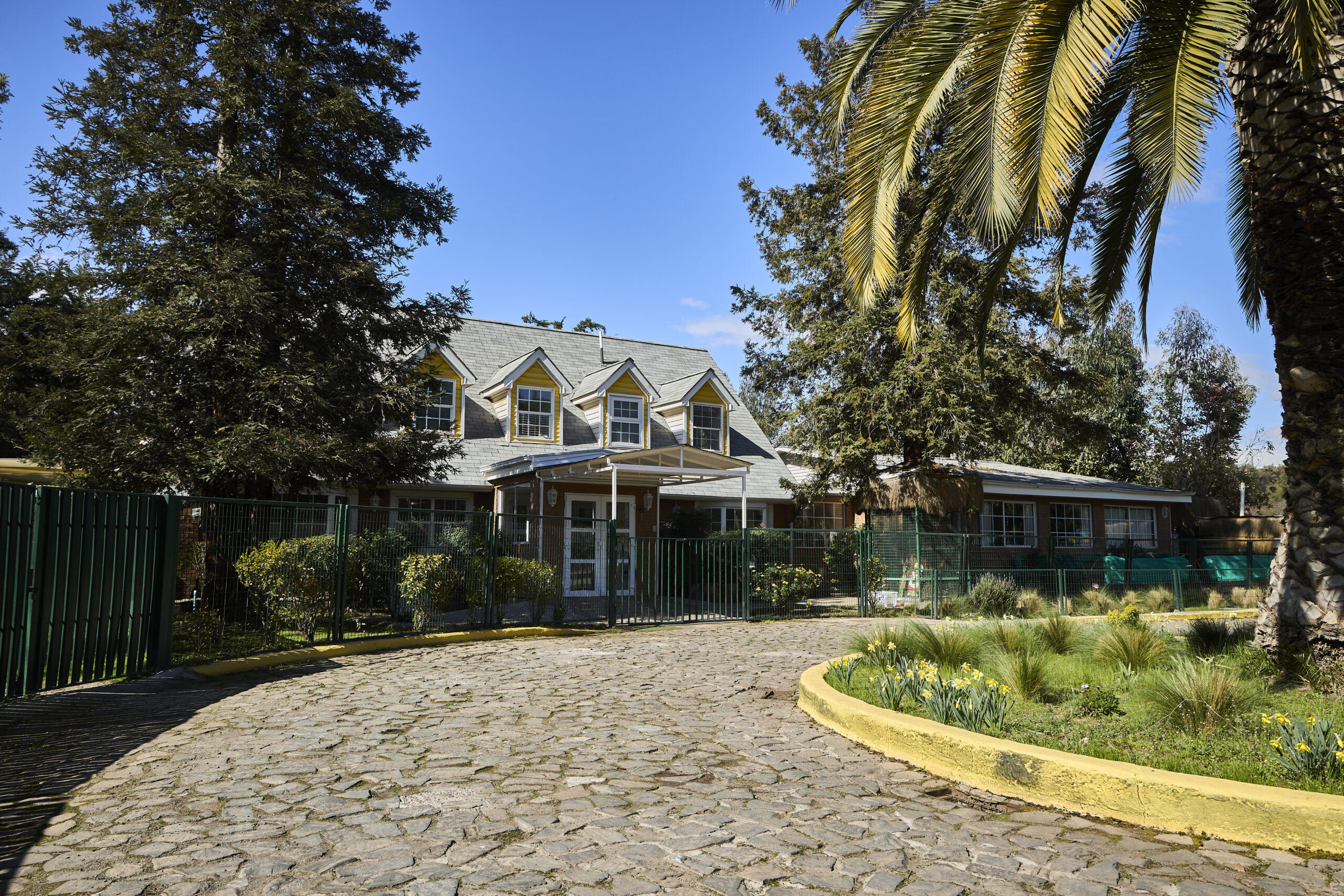Fachada con palmera