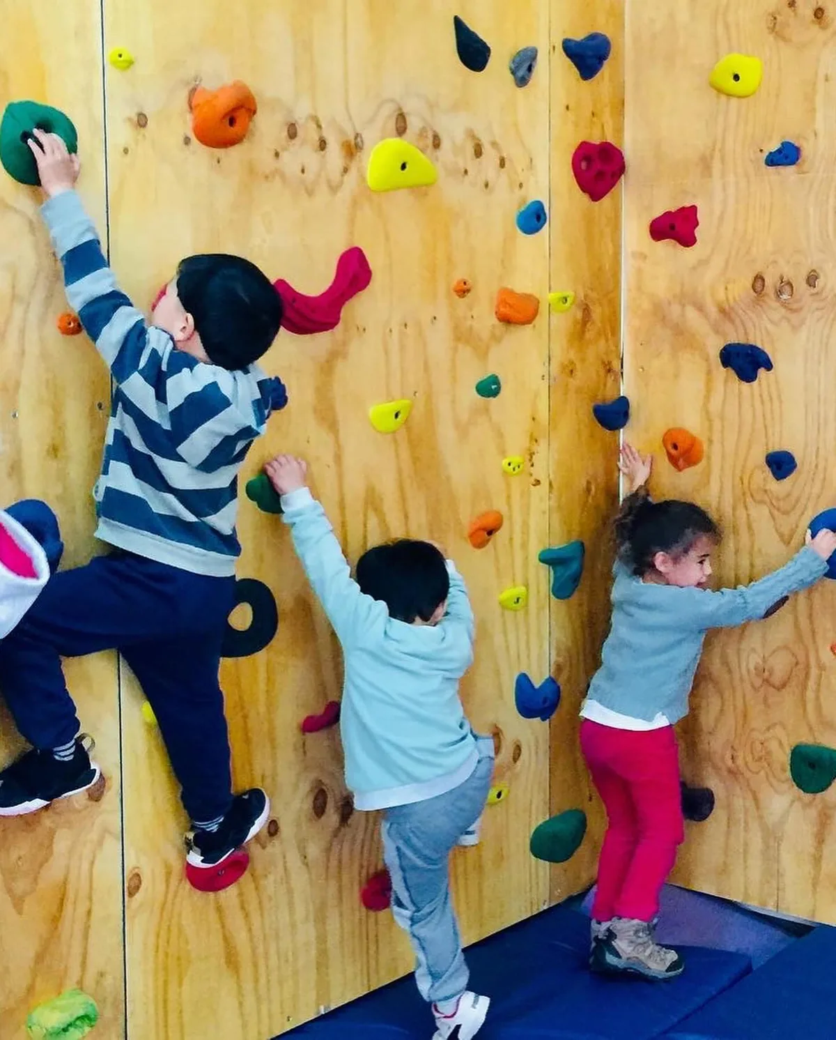 Niños subiendo el muro de escalada del gimnasio de GirasolesPark