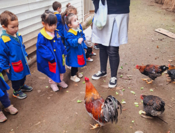 Niños observando gallinas
