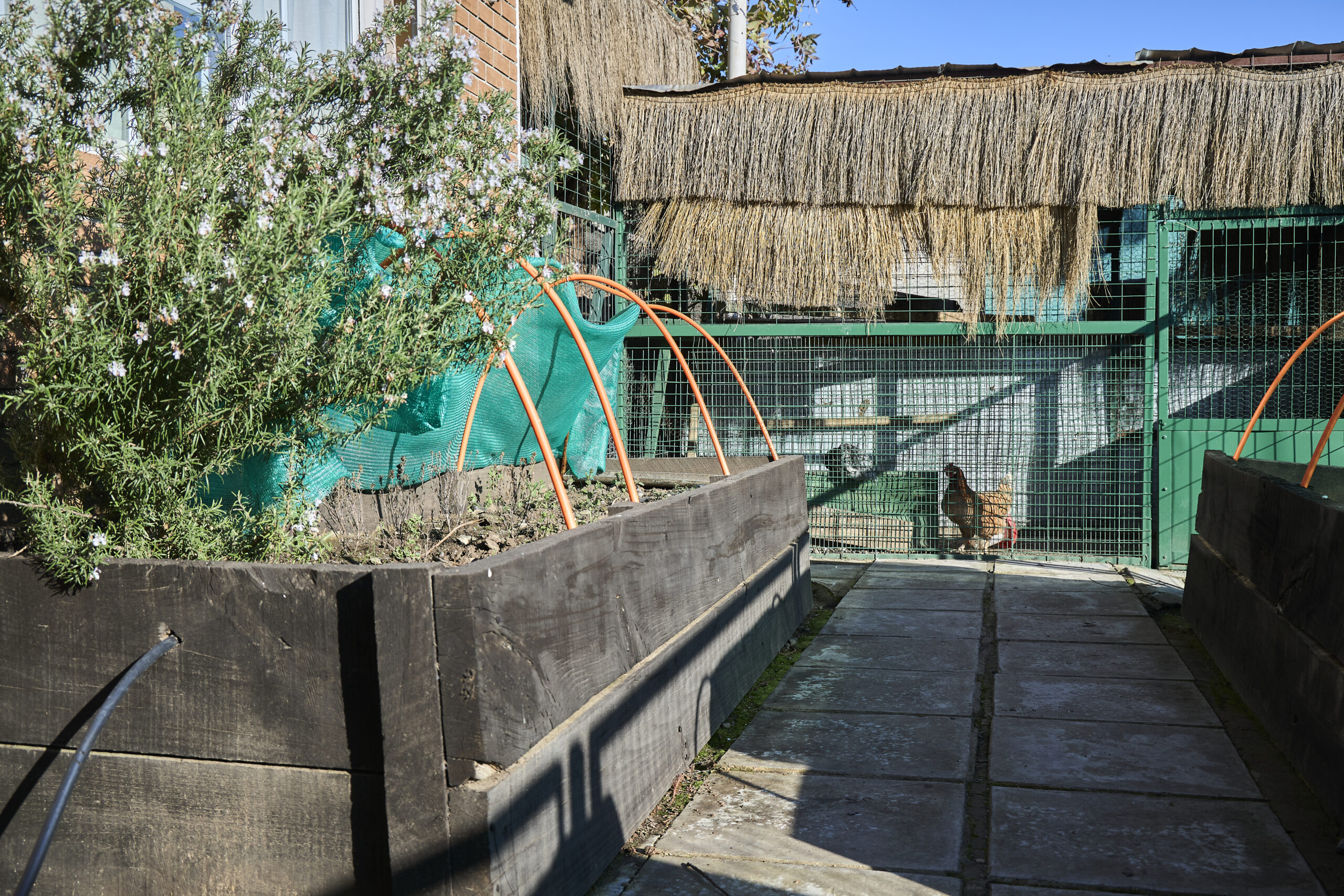 Gallinero del jardín