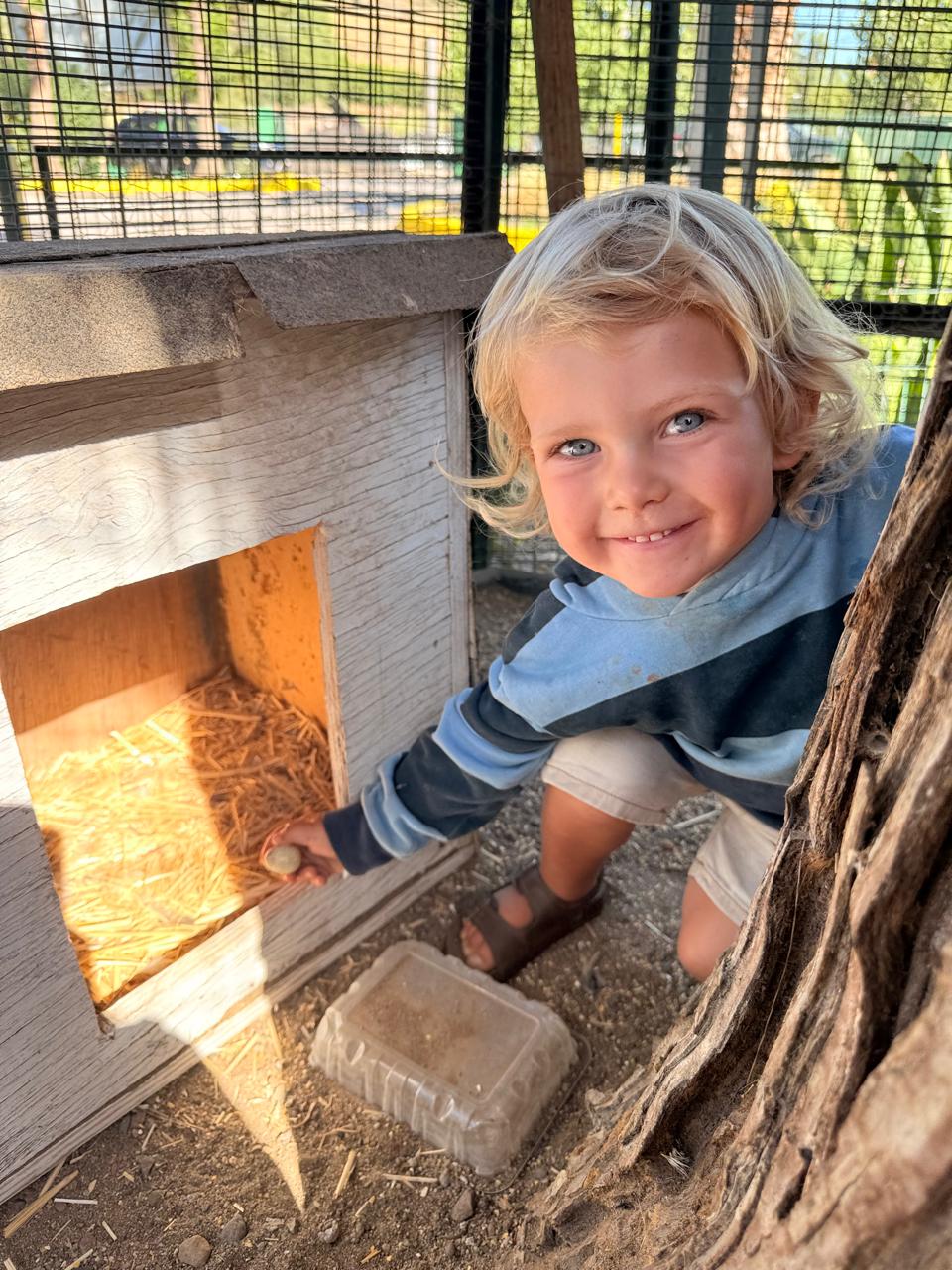 Niño sonriendo con huevo del gallinero