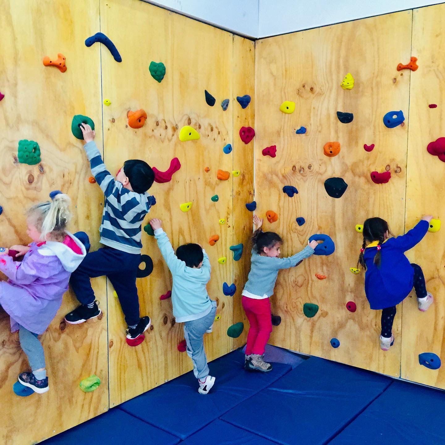 Niños trepando en muro de escalada